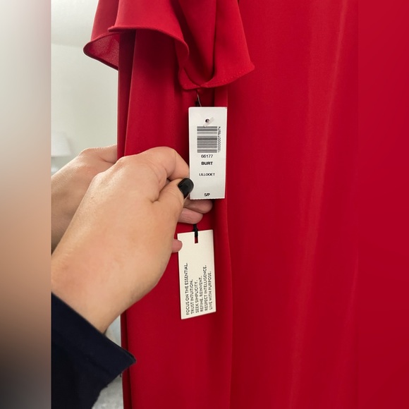 NWT Stunning Red Aritzia Babaton Burt Sheath/Shift Dress - Size Small - Picture 10 of 10